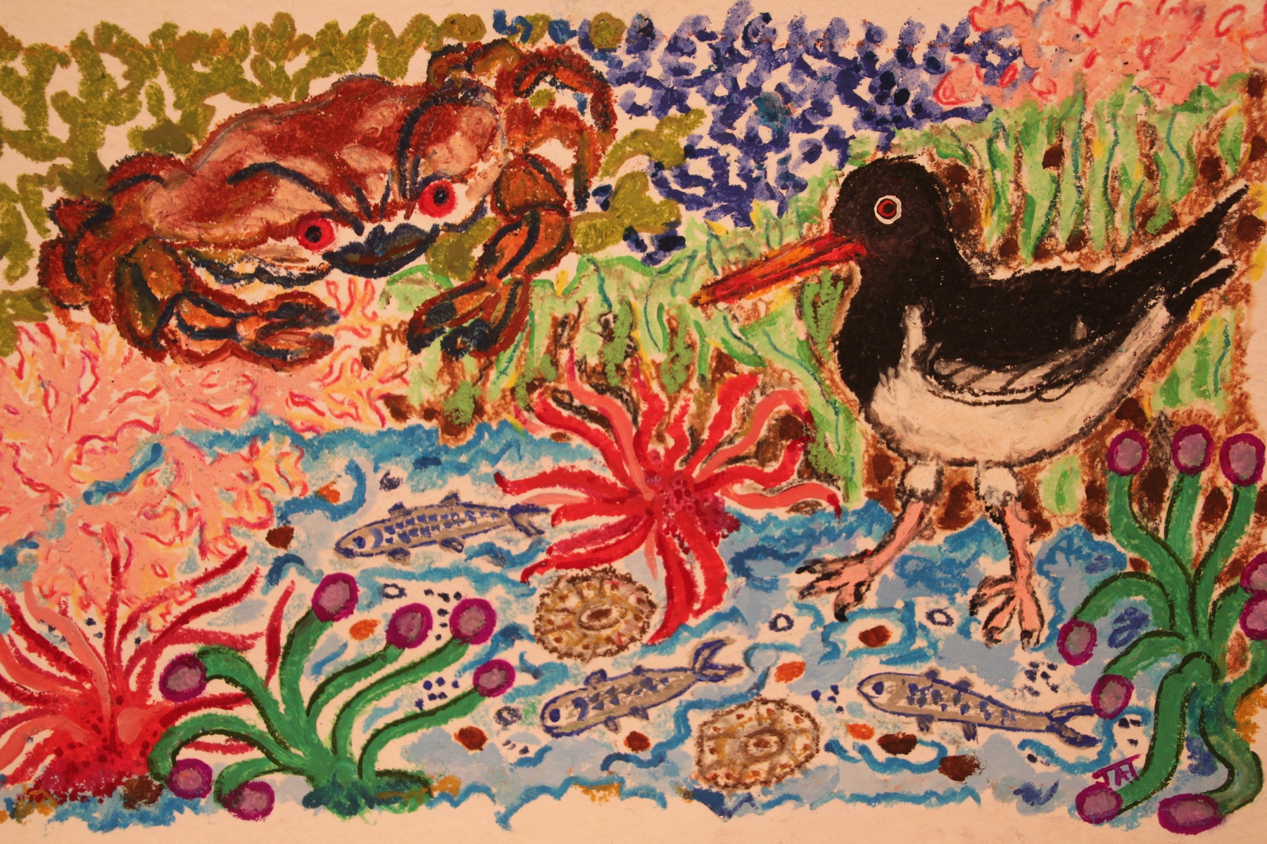 Painting titled “Rockpool Magic” by Jennie-Anne Taylor